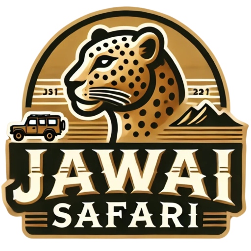 jawai leopard safari booking