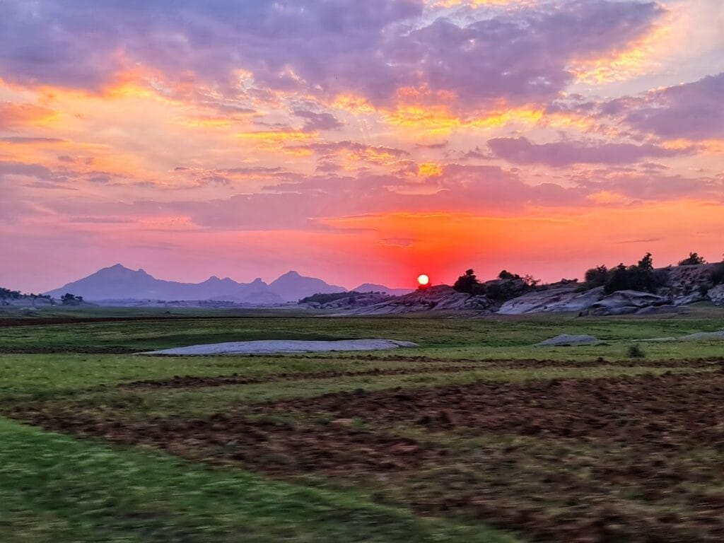 jawai safari sunset