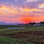 jawai safari sunset