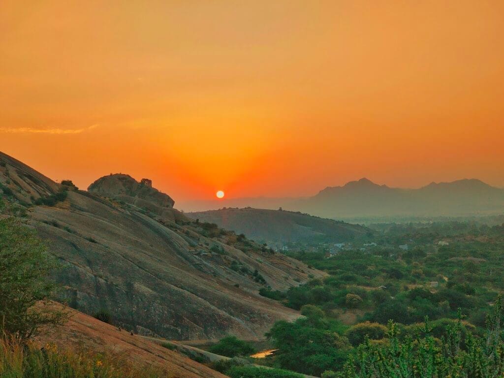 jawai sunrise safari