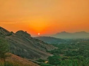 jawai sunrise safari