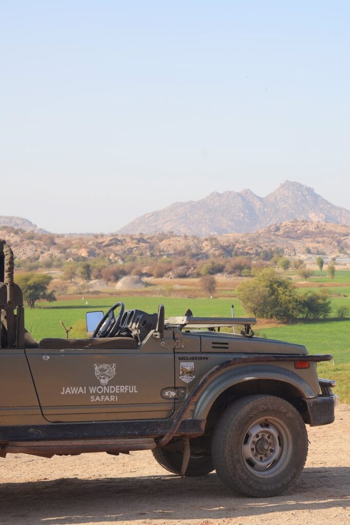 Jawai Village & Safari Experience