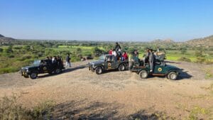 Jawai corporate retreat