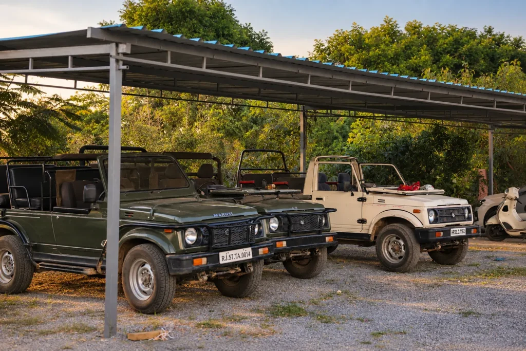 Safari jeeps at Jawai Heaven, ready for the evening drive